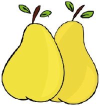 Pairs Or Pears